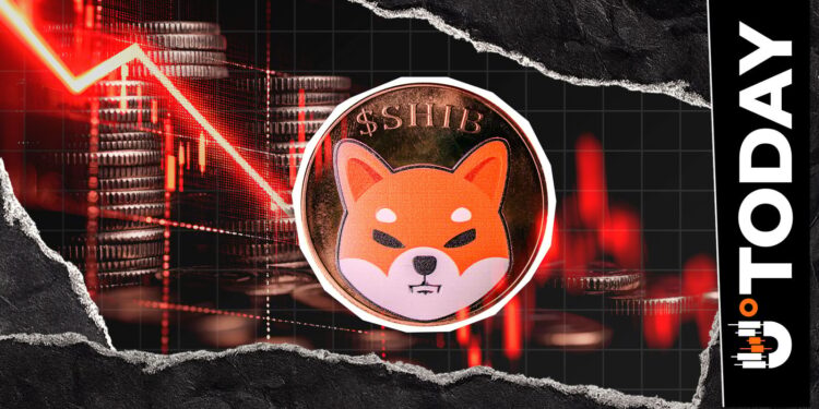-228 Billion SHIB: Shiba Inu Coin Supply on Exchange Continues to Squeeze