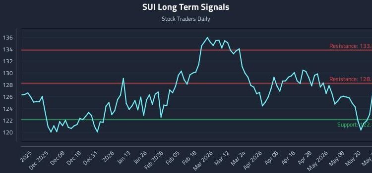Price-Driven Insight from (SUI) for Rule-Based Strategy