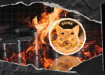 19,513,946 SHIB Destroyed, Shiba Inu Burn Rate Responds With 159% Spike