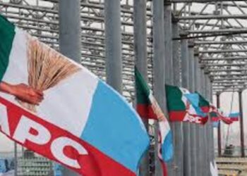 2027: Stakeholders warn against imposition in Ondo’s Ile-Oluji/Oke-Igbo/Odigbo constituency