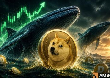 Examining Dogecoin’s next move as leverage rises around KEY support