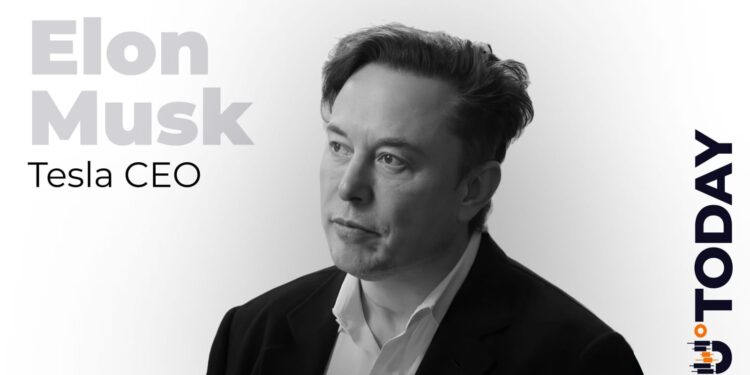 ‘Most Entertaining Outcome’: Did Elon Musk Just Endorse Dogecoin Again?