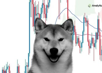 Should You Invest in Shiba Inu Before the Next Bull Run?