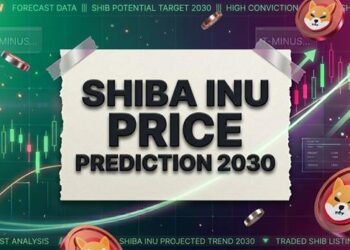 Can SHIB Erase a Zero While