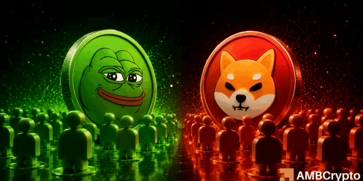 Holder growth lifts PEPE and SHIB sentiment – More gains ahead IF…
