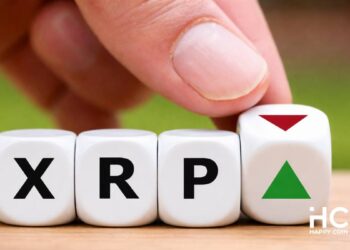 Crypto whales withdrew a record 122 million XRP tokens from the Binance exchange • Happy Coin News