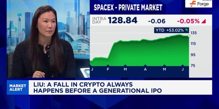 Crypto investors rotating SpaceX IPO, Solana President