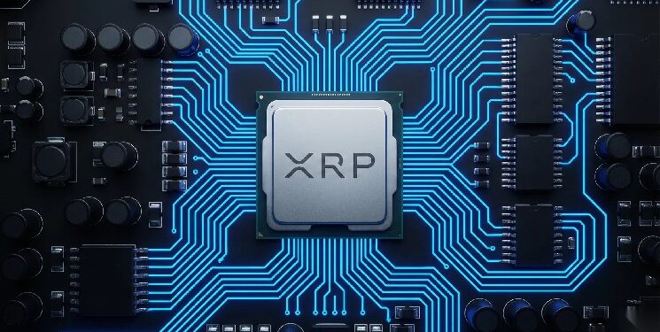Amazon app glitches spark renewed XRP rumors with no proof