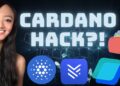 CARDANO Hack?! How to Stay Safe | SecondFi/Yoroi Wallet – YouTube