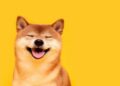 Dogecoin, shiba inu dive 9% as bitcoin nears $60,000