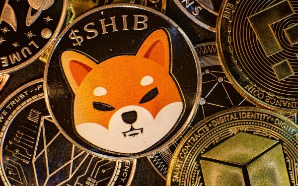 Shiba Inu whales accumulate as 443 billion SHIB leaves exchanges in four days