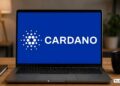 Cardano Contributor Exits After Bankruptcy, Criticizes Governance