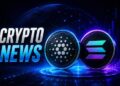 Could This New Cryptocurrency Deliver What SOL and ADA Cannot