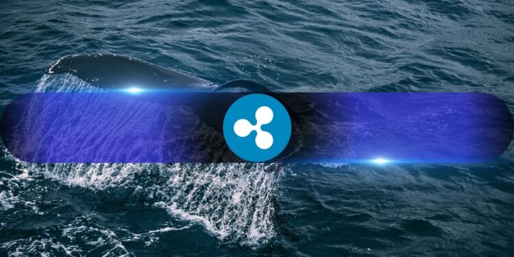 XRP Whales Are Moving On, and Binance Is No Longer Their Top Choice