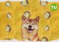 Can $0.0900 support hold? DOGE falls 7.04%