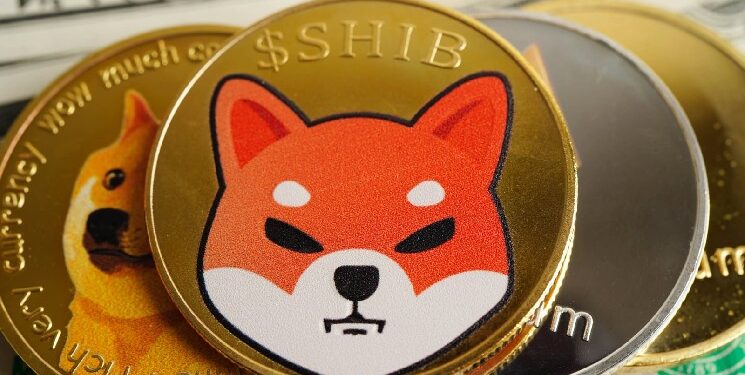Japan’s Largest Marketplace Lists Shiba Inu (SHIB) and Dogecoin for 23 Million Users