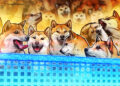 Paxos Adds Dogecoin to Brokerage and Custody Platform