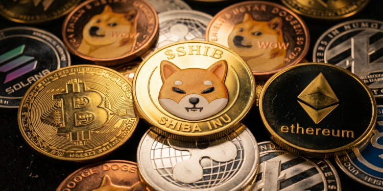 Rakuten Wallet expands SHIB campaign with souvenir coin