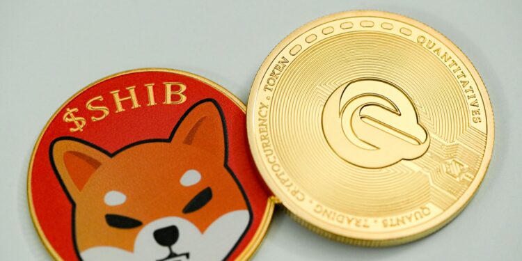 Shiba Inu price prediction: can SHIB reach $0.0000350?