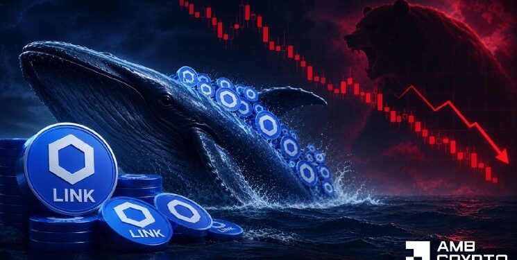 Can Chainlink flip $9? Whale buys 800K LINK amid growing demand