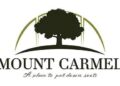 Mount Carmel bans cryptocurrency mines, data centers – Kingsport Times News