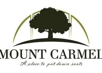 Mount Carmel bans cryptocurrency mines, data centers – Kingsport Times News