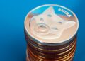SBI targets Southeast Asia with Coinhako acquisition, brings 1.11 trillion Shiba Inu tokens into group