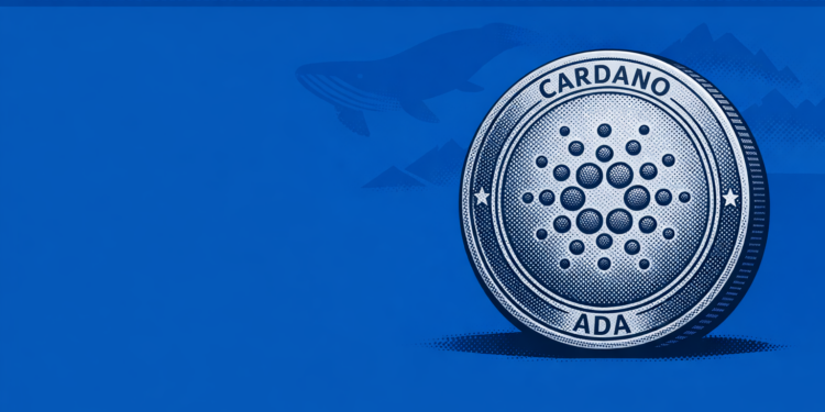 Cardano (ADA) Surges 4.26% Amid Short Squeeze, Whale Accumulation | Top Stories