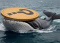 Bitcoin Surpasses $64,000, Whale Activity is High! Here are the Altcoins They’re Trading
