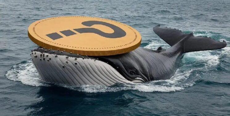 Bitcoin Surpasses $64,000, Whale Activity is High! Here are the Altcoins They’re Trading