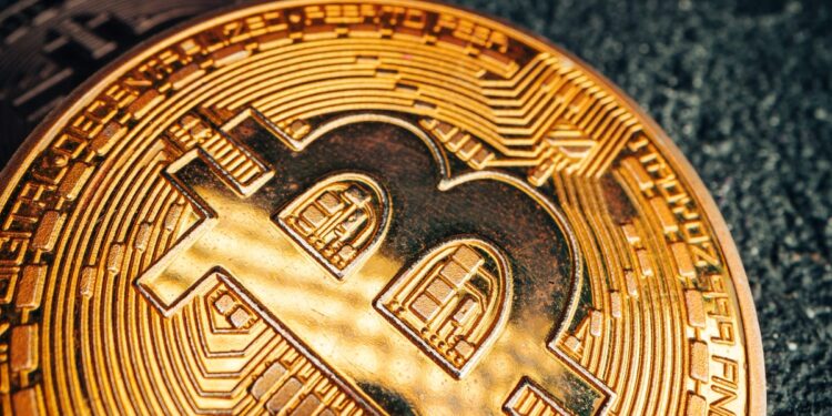 Understanding Memecoins as Distinct From Traditional Cryptocurrency