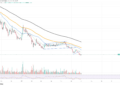 Half a Trillion Shiba Inu (SHIB) In: What to Expect From Massive Exchange Supply Surge?