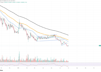 Half a Trillion Shiba Inu (SHIB) In: What to Expect From Massive Exchange Supply Surge?