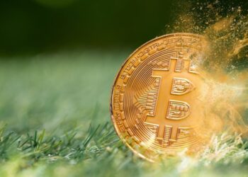 ‘If You Want to Get Rich Hold Bitcoin,’ Prominent Investor Says: ‘You Just Didn’t Do the Obvious Thing’
