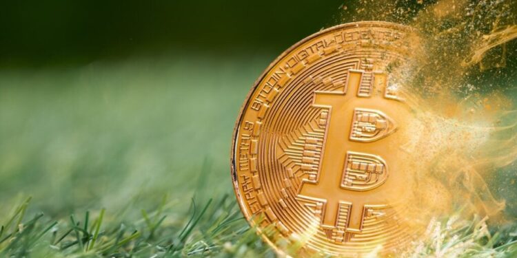 ‘If You Want to Get Rich Hold Bitcoin,’ Prominent Investor Says: ‘You Just Didn’t Do the Obvious Thing’