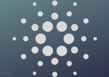 Whales Control 68.76% of Cardano Supply While ADA Price Drops 70%, What Do They Know Retailers Don’t? ⋆ ZyCrypto