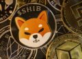 +100% Shiba Inu (SHIB) Exchange Outflow Recorded as Volatility Is Back on the Market