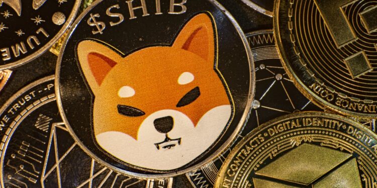 +100% Shiba Inu (SHIB) Exchange Outflow Recorded as Volatility Is Back on the Market