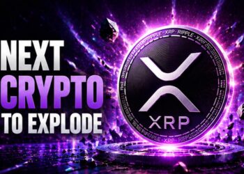 Pepeto Leads as XRP and ADA Search