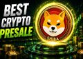 The Next Shiba Inu Could Multiply Presale Entries by 100x Before