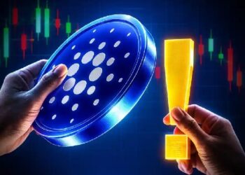 Analyst Says Whale Buying and ETF Hype Could Signal Bottom