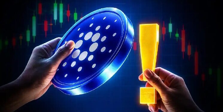 Analyst Says Whale Buying and ETF Hype Could Signal Bottom