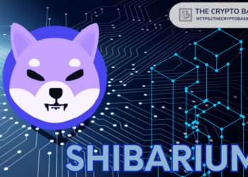 Shibarium Activity Jump 78%, but SHIB Price Remains Under Pressure