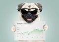 Could Buying XRP Today Set You Up for Life?