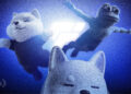 Jimothy The Raccoon Solana Token Climbs 186% After Viral Meme Fame
