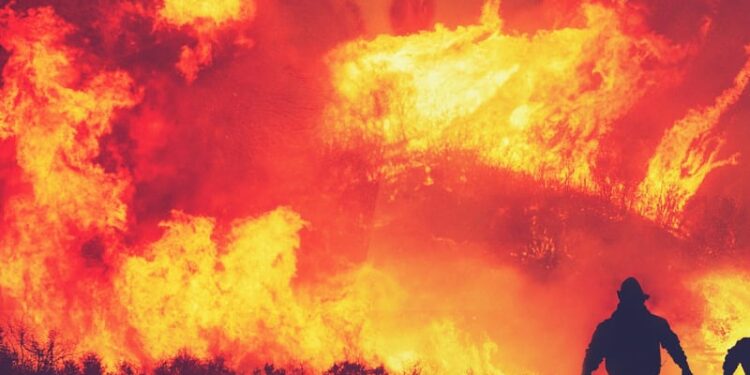 Climate X introduces global wildfire risk model for financial and asset-level decision-making