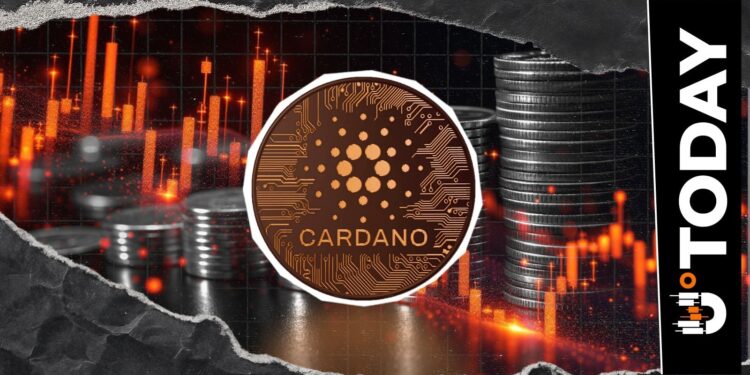 Cardano Hits 10,166% Liquidation Imbalance as Price Tests $0.2 Support