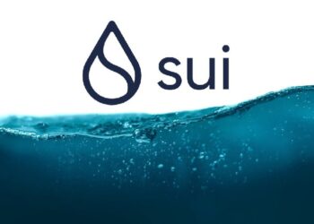 Blockchain Network Sui Introduces New Privacy-Focused Infrastructure Feature! Here Are the Details