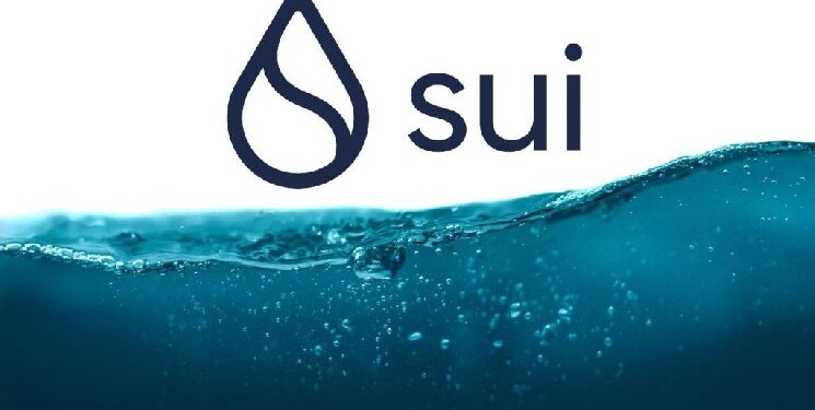 Blockchain Network Sui Introduces New Privacy-Focused Infrastructure Feature! Here Are the Details