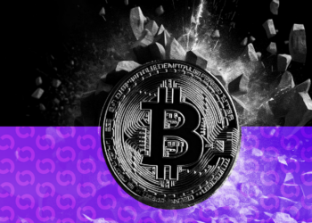 Bitcoin Wallet Untouched for 15 Years Suddenly Springs to Life
